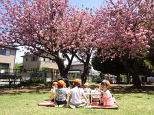 4/19 八重桜でお花見ピクニック♪